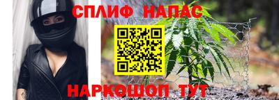 mdma Новозыбков