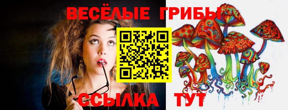 Мегион  Галлюциногенные грибы Psilocybine cubensis  Вход с VPN 